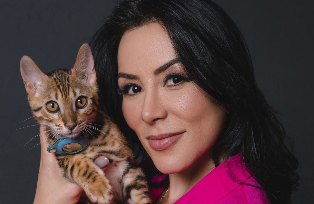 Gatinho desaparecido: procura-se por Raj