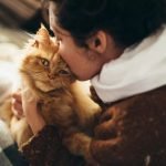 5 coisas que você precisa saber antes de adotar um gato