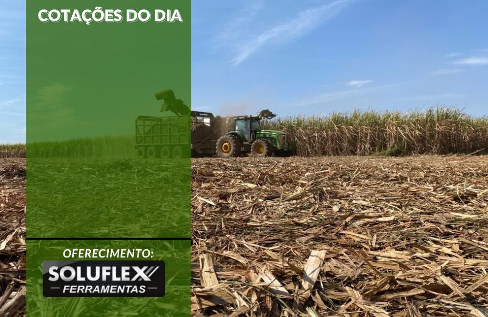 Cotações do Agronegócio em 28 de Agosto: Dólar e Preços Atualizados do Dia