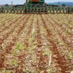 Fenômeno La Niña pode retornar ao Brasil em 2024 e afetar o agronegócio em Goiás; entenda