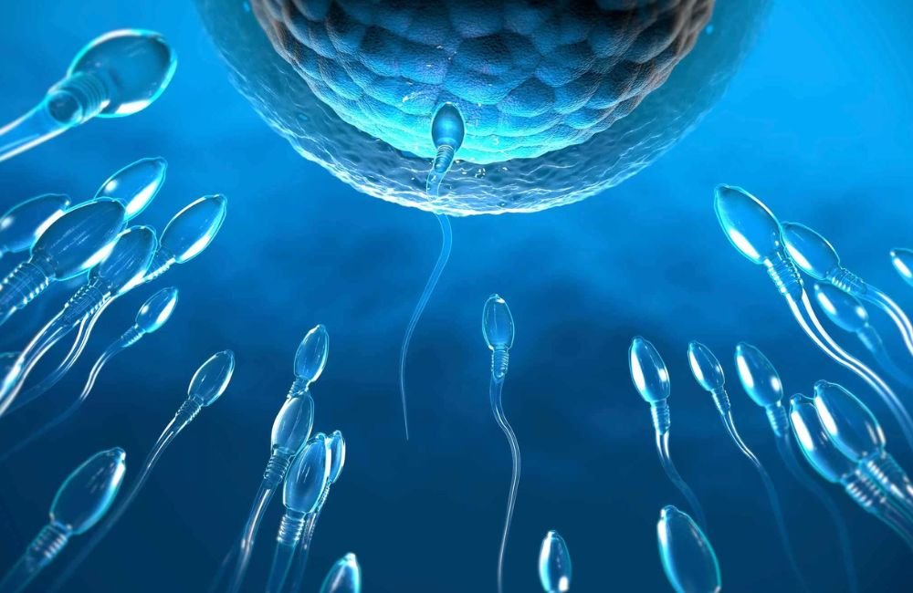 Gel anticoncepcional masculino tem 99% de eficácia em testes iniciais