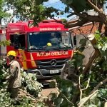 Intenso Trabalho Para o Corpo de Bombeiros em Jataí com Quedas de Árvores em Vias Públicas