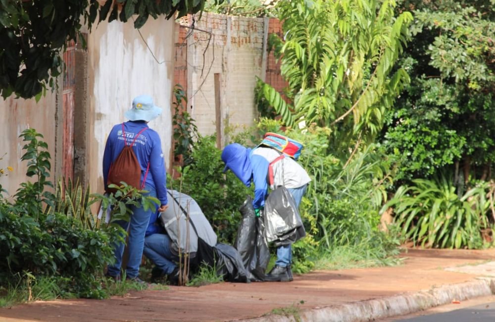 Mutirão contra o mosquito Aedes: confira os bairros que receberão a coleta de entulhos nesta terça-feira (20/02)