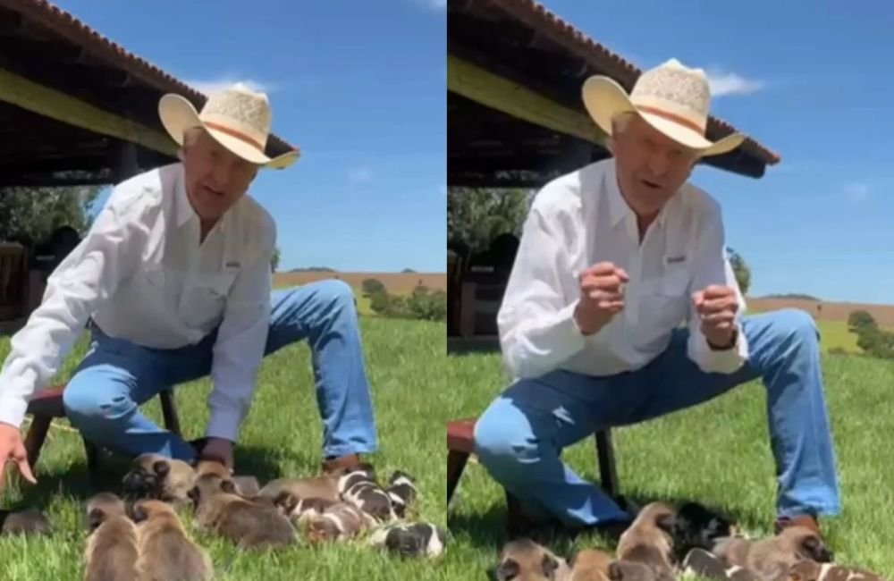 Ronaldo Caiado anuncia sorteio de filhotinhos no Instagram: “isso é coisa do coração”