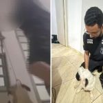 VÍDEO Adolescente faz live maltratando e enforcando cachorro em Rio Verde; imagem é forte