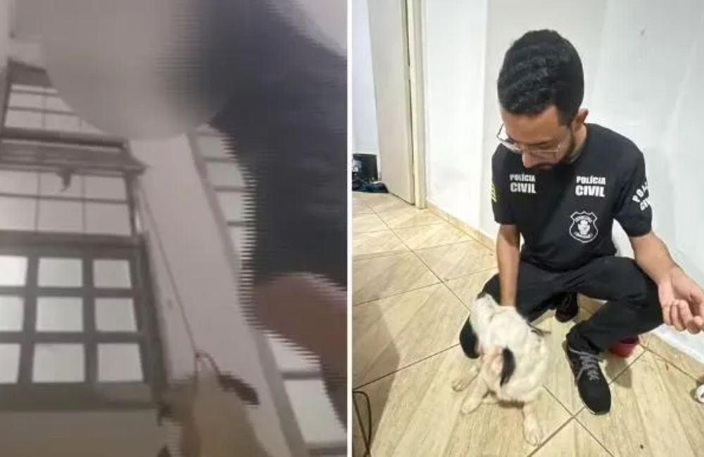 VÍDEO: Adolescente faz live maltratando e enforcando cachorro em Rio Verde; imagem é forte