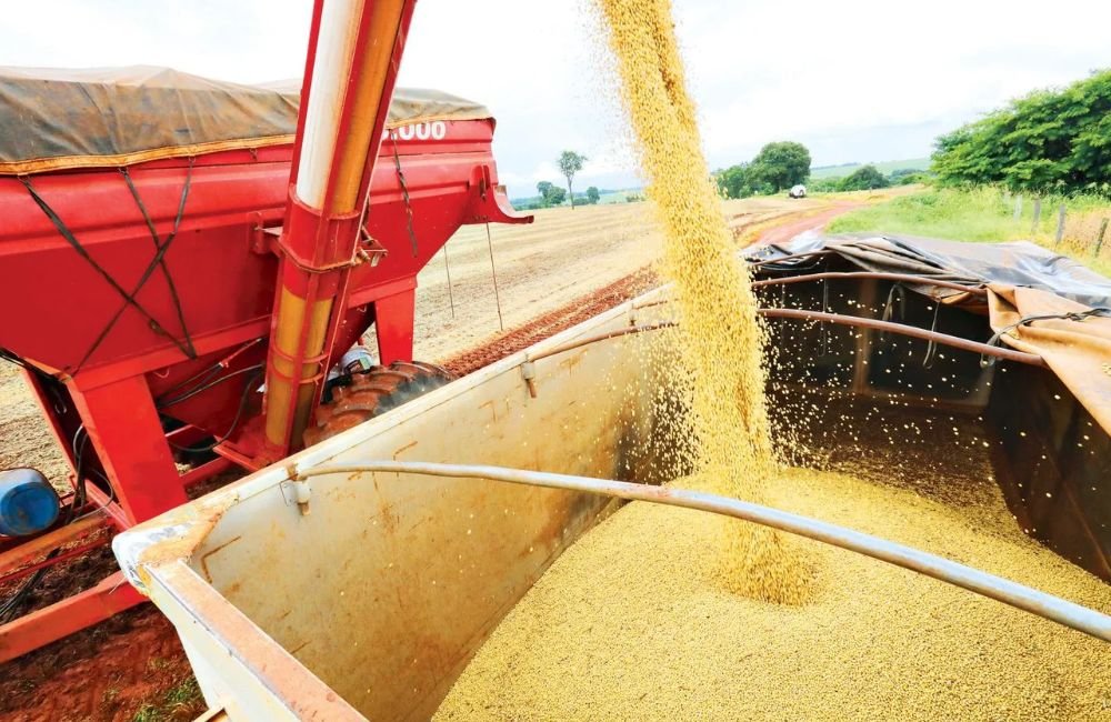 Baixa rentabilidade afetou a capacidade de investimento do produtor goiano