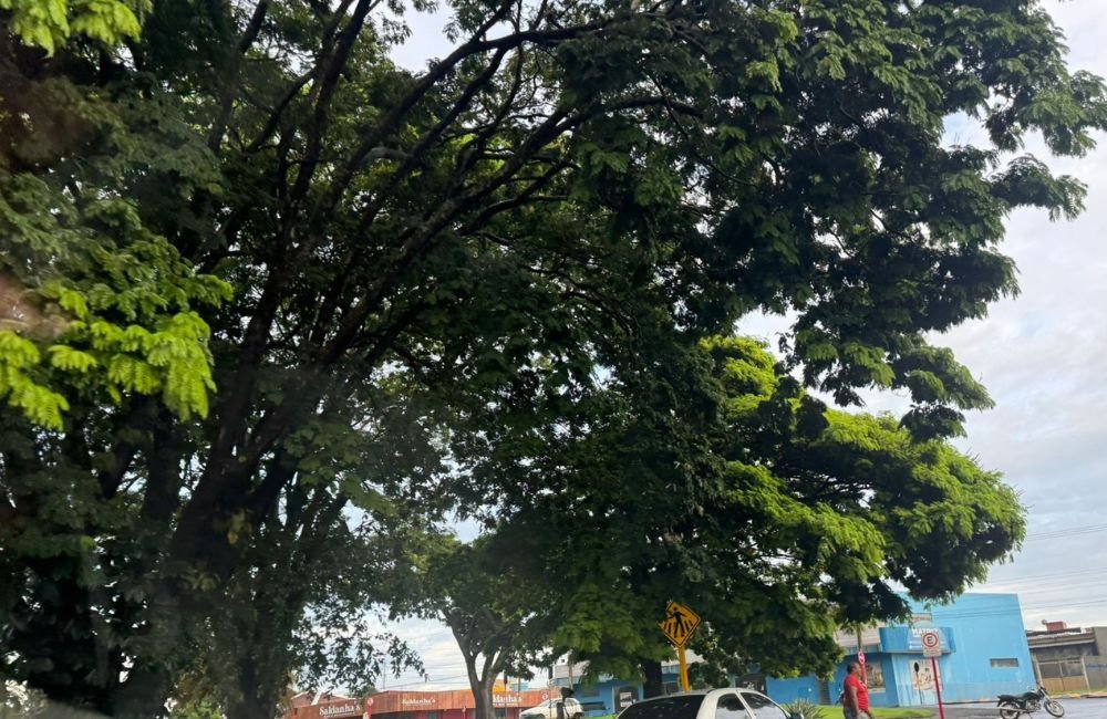 Previsão do Tempo em Goiás: Quinta-feira com Variação e Alerta de Chuvas