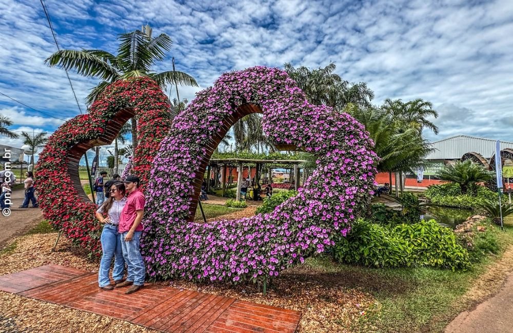 FOTOS | Tecnoshow COMIGO 2024 Encanta com Jardinagem Deslumbrante: Um Investimento de R$100 Mil em Paisagismo