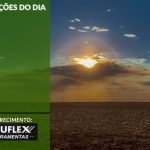 Cotações do Dia - Pn7 2024 - Soluflex
