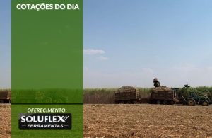 Cotações do Dia - Pn7 2024 - Soluflex