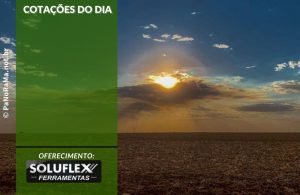Cotações do Dia - Pn7 2024 - Soluflex