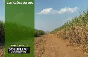 Cotações do Dia - Pn7 2024 - Soluflex