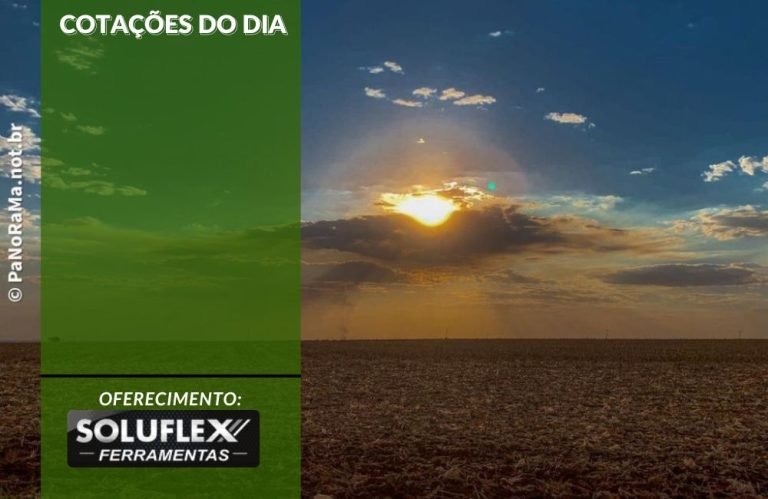Cotações do Dia - Pn7 2024 - Soluflex
