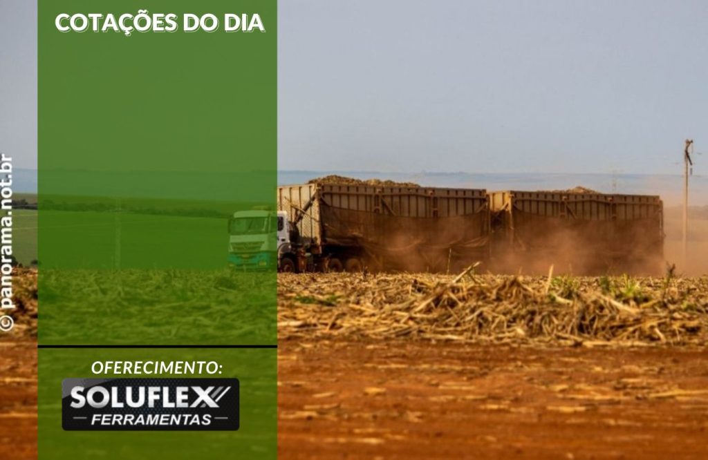 Cotações do Dia - Pn7 2024 - Soluflex