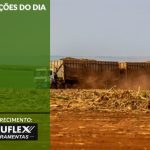 Cotações do Dia - Pn7 2024 - Soluflex