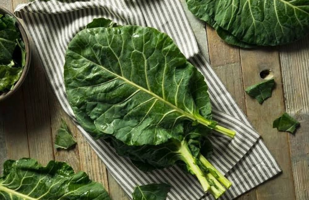 Conheça vegetal cheio de colágeno que evita anemia e reduz colesterol