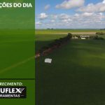 Cotações do Dia - Pn7 2024 - Soluflex