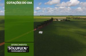 Cotações do Dia - Pn7 2024 - Soluflex