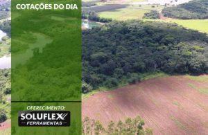 Cotações do Dia - Pn7 2024 - Soluflex