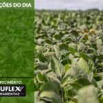 Cotações do Dia - Pn7 2024 - Soluflex