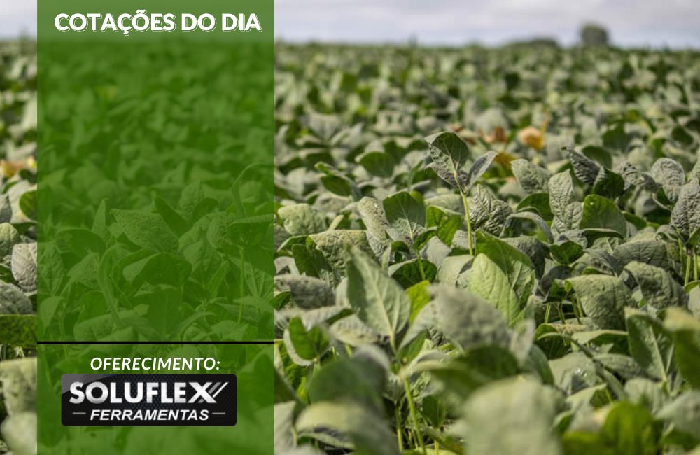 Cotações do Dia - Pn7 2024 - Soluflex