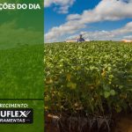 Cotações do Dia - Pn7 2024 - Soluflex