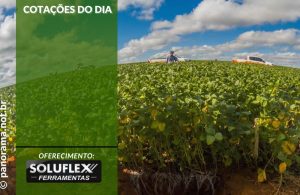 Cotações do Dia - Pn7 2024 - Soluflex