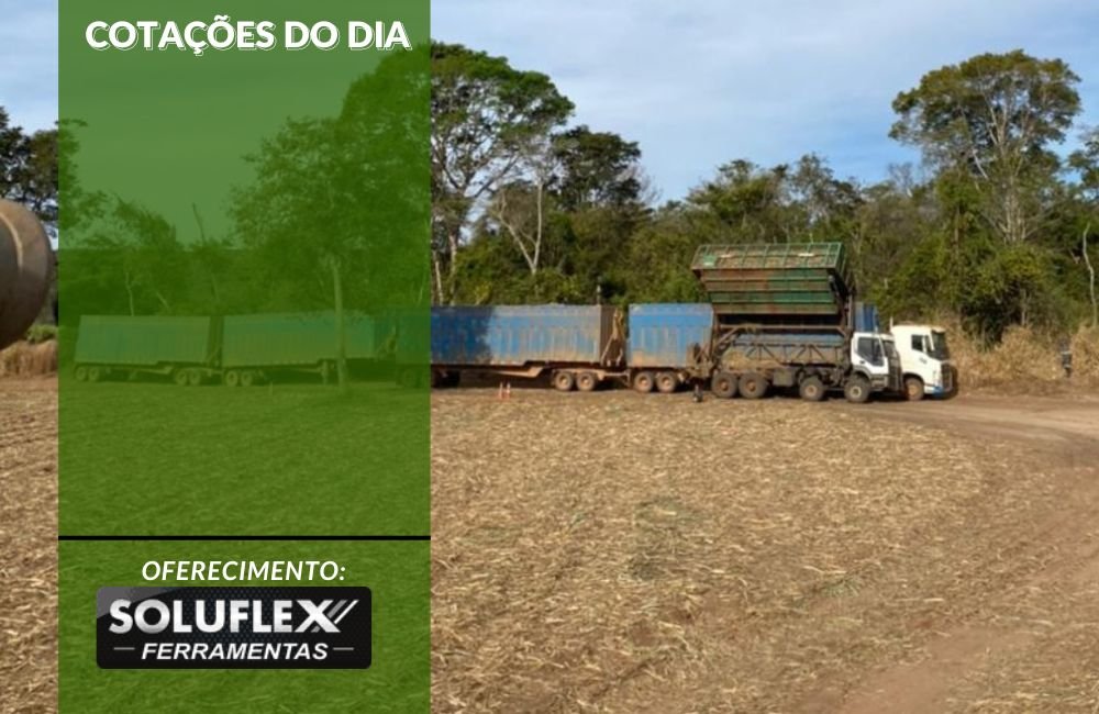 Cotações do Agronegócio em 30 de Julho: Dólar e Preços Atualizados do Dia