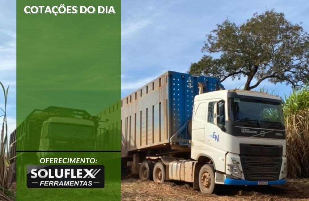 Cotações do Agronegócio em 31 de Julho: Dólar e Preços Atualizados do Dia