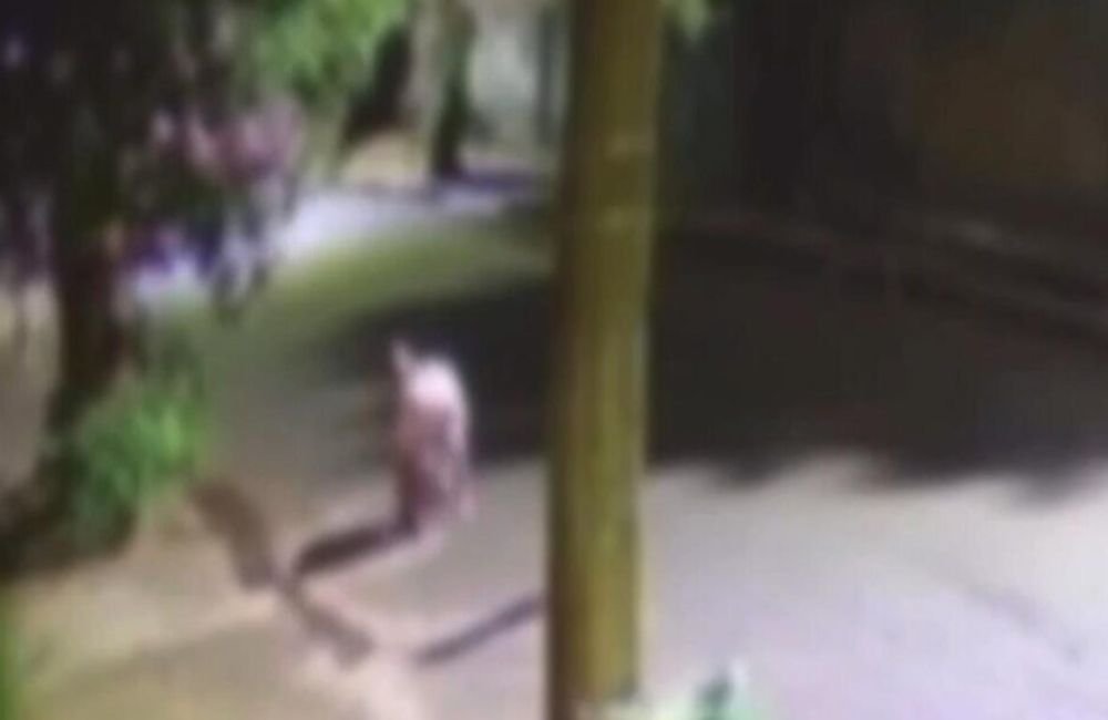 GO: mãe bate cabeça da filha no chão após menina tocar campainha e correr