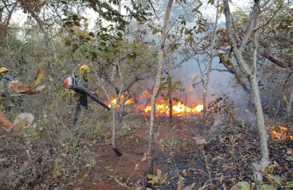 Governo toma medida para agilizar resposta contra incêndios florestais em Goiás