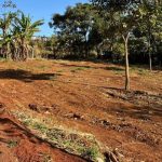 Polícia Civil Prende Homem em Flagrante por Tentativa de Apropriação Ilegal de Terreno em Jataí