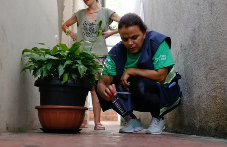 Brasil se aproxima de 5 mil mortes por dengue em 2024