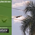 Cotações do Dia - Pn7 2024 - Soluflex