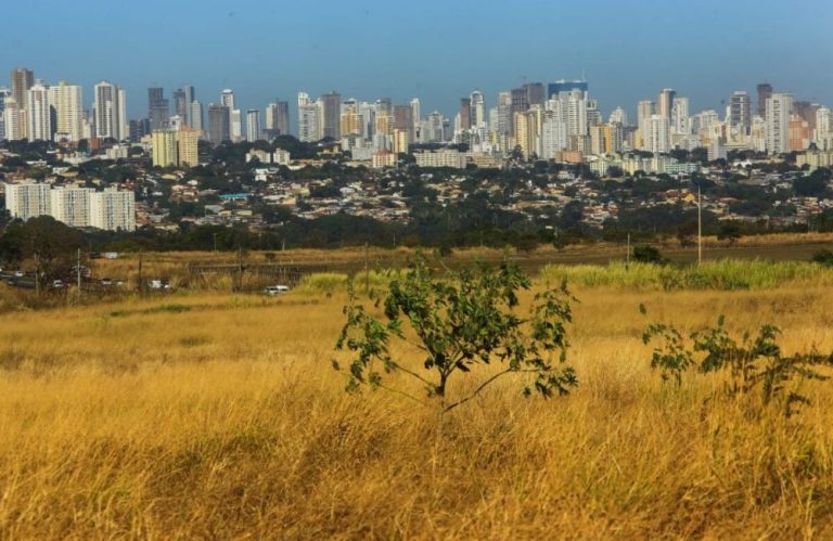 Defesa Civil alerta sobre condição desértica em Goiás e dá dicas importantes para a saúde