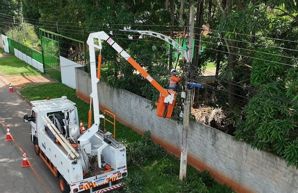 Podas de árvores: saiba o que fazer quando galhos estão próximos ou em contato com rede elétrica