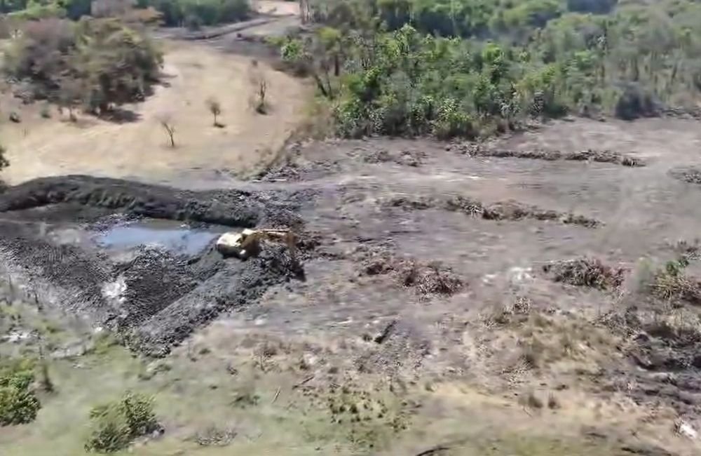 VÍDEO | Fazendeiro Desafia Justiça e Expande Desmatamento Ilegal em Estância
