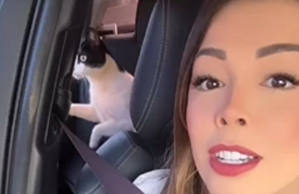 VÍDEO | Jataiense se surpreende ao encontrar seu gato escondido dentro do carro