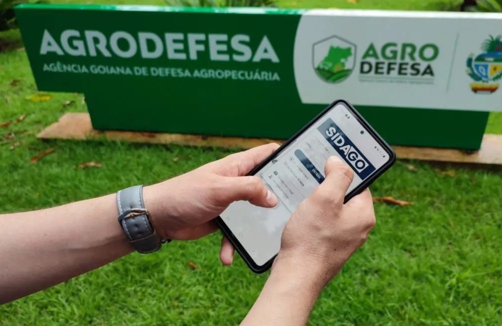 Cadastro obrigatório de lavouras é exigido de produtores de soja em Goiás até janeiro