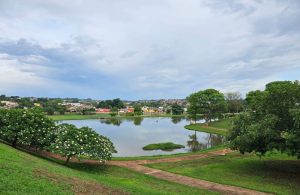 Clima tempo previsão lago jk roda d'agua arvores floridas ceu azul