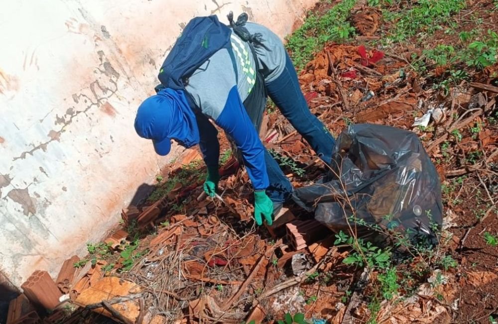 Mutirão de Combate ao Aedes será retomado na próxima segunda-feira