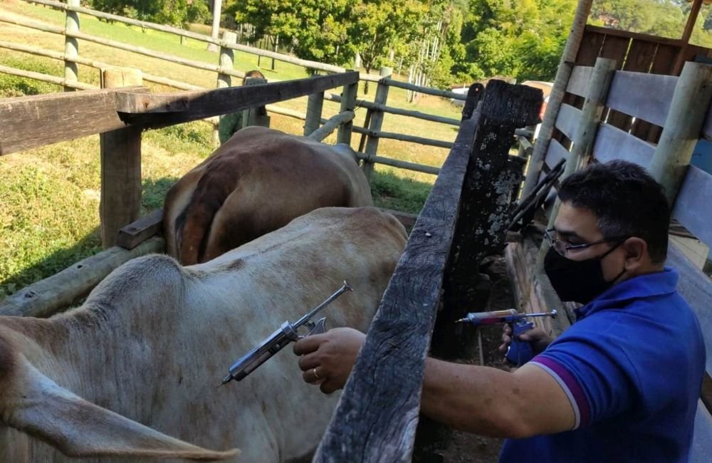 Pecuaristas devem fazer declaração de rebanho a partir de sexta