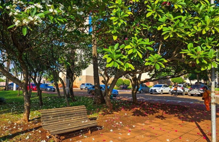 Clima tempo previsão jataí goiás praça matriz igreja