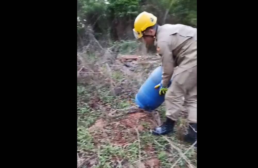 VÍDEO | Ação dos Bombeiros ao capturar serpente em posto de saúde traz alívio e segurança a moradores e funcionários