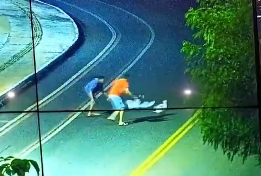 VÍDEO | Roubo de aves no Parque Ecológico das Brisas revolta moradores de Jataí