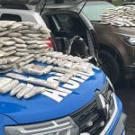 15º BPM e COD interceptam veículo com drogas avaliadas em R$ 500 mil na BR-060