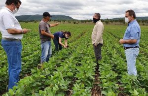 Boa produtividade e integração lavoura-pecuária são destaques nos dois primeiros dias de Expedição Safra Goiás