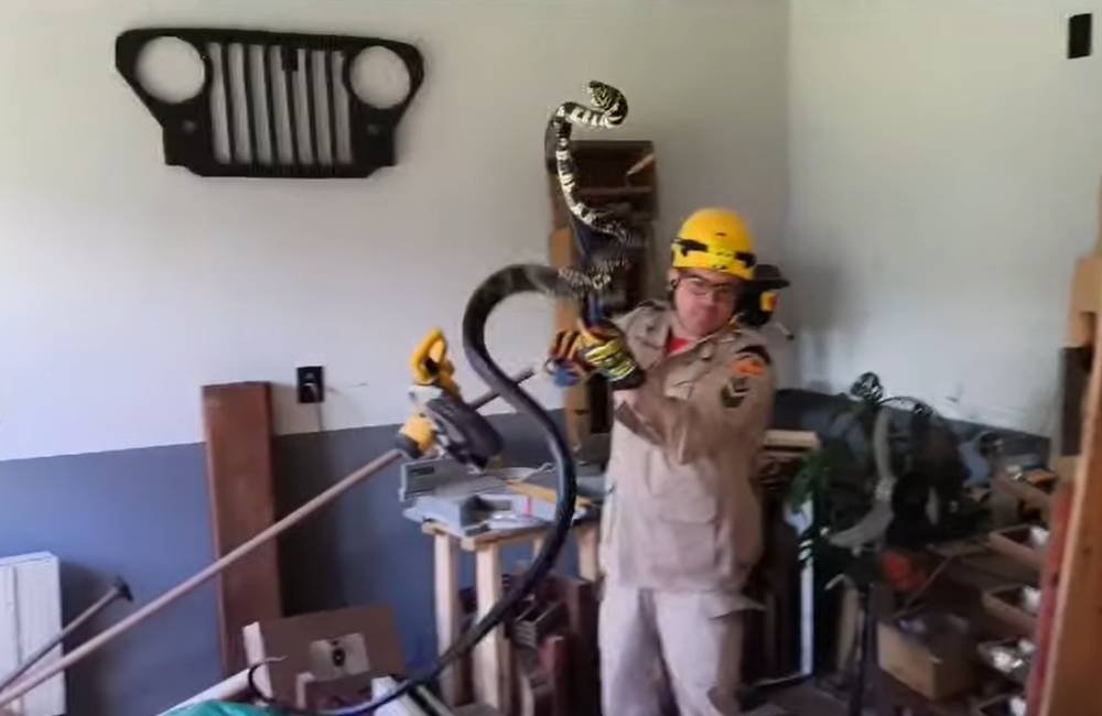 VÍDEO | Bombeiros Resgatam Serpente Caninana em Residência na Vila São Pedro