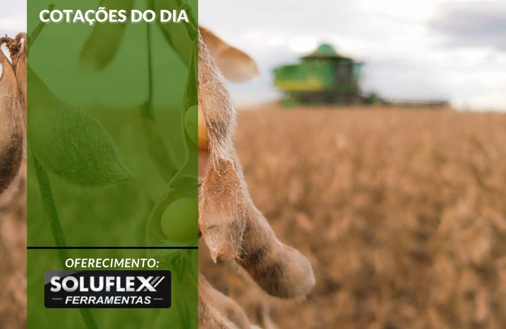 Cotações do Agronegócio em 08 de Agosto: Dólar e Preços Atualizados do Dia
